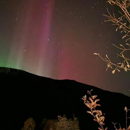 Pilan Lodge Lofoten Vestpollen Exteriör bild