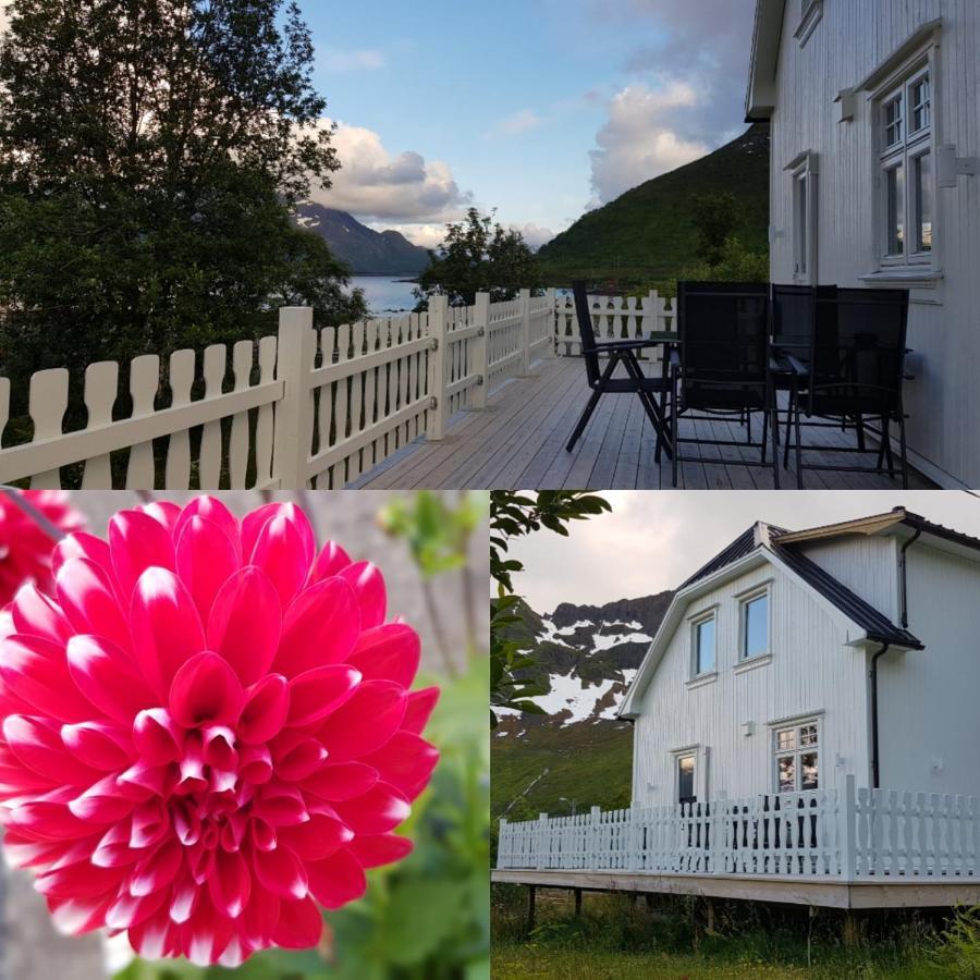 Pilan Lodge Lofoten Vestpollen Exteriör bild