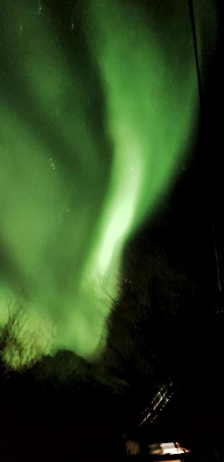 Pilan Lodge Lofoten Vestpollen Exteriör bild