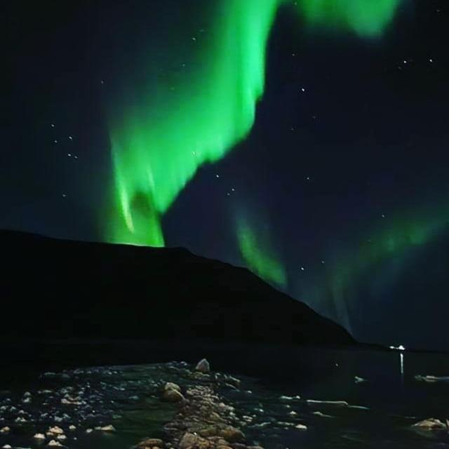 Pilan Lodge Lofoten Vestpollen Exteriör bild