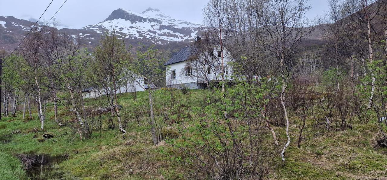 Pilan Lodge Lofoten Vestpollen Exteriör bild