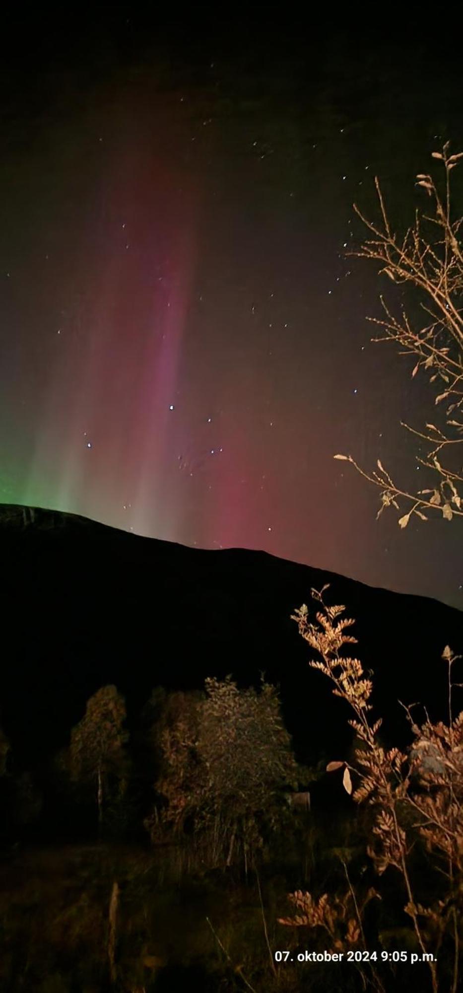 Pilan Lodge Lofoten Vestpollen Exteriör bild