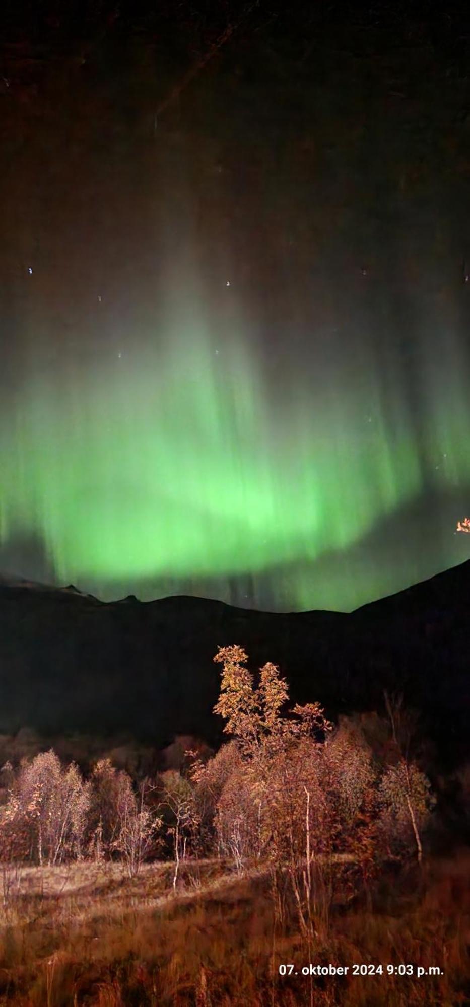 Pilan Lodge Lofoten Vestpollen Exteriör bild