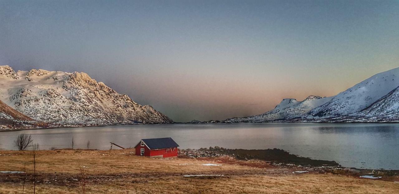Pilan Lodge Lofoten Vestpollen Exteriör bild